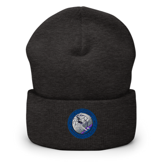 U.S. Air Force Reserve Office of the Judge Advocate General: National Security Division 91595356 Cuffed Beanie | Yupoong 1501KC
