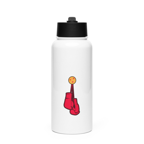 PADWORKPAPI Stainless Steel Water Bottle with a Straw Lid