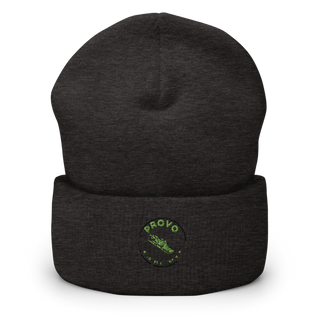 Provo 70425817 Cuffed Beanie | Yupoong 1501KC