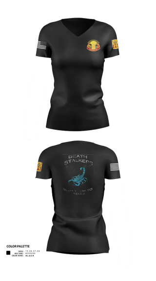 Womens Short Sleeve Vneck Shirt, 5-4 ADA A BTRY 3rd PLT, , Teamtime, Team time, sublimation, custom sports apparel, team uniforms, spirit wear, spiritwear, sports uniforms, custom shirts, team store, custom team store, fundraiser sports, apparel fundraiser