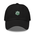 North Huskies Dad hat