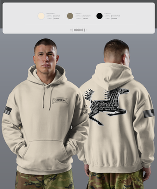 Hoodie, DET 1 HHC 3-116 CAV, Army, Teamtime, Team time, sublimation, custom sports apparel, team uniforms, spirit wear, spiritwear, sports uniforms, custom shirts, team store, custom team store, fundraiser sports, apparel fundraiser