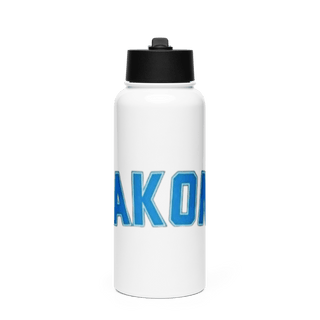 981st MP CO 43047694 Stainless Steel Water Bottle with a Straw Lid