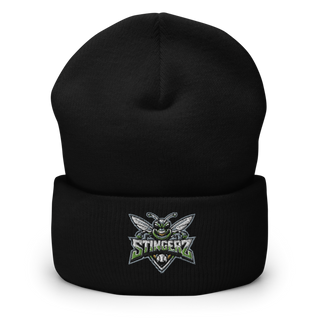 STINGERZ 4730031 Cuffed Beanie | Yupoong 1501KC