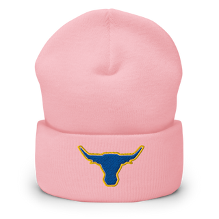 Longhorns Cuffed Beanie | Yupoong 1501KC