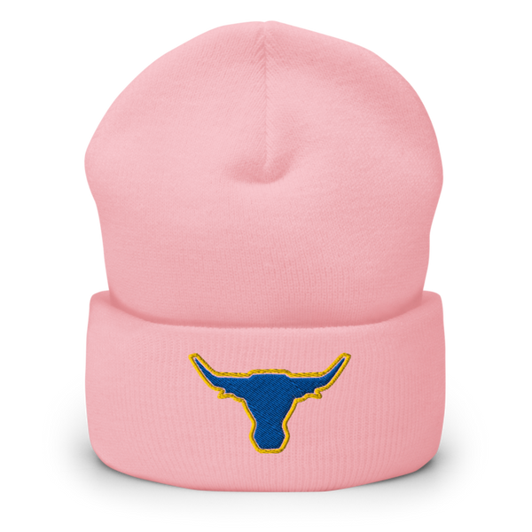 Longhorns Cuffed Beanie | Yupoong 1501KC