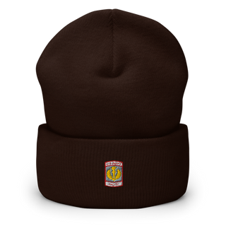 Lewis County Lions 17232794 Cuffed Beanie | Yupoong 1501KC