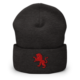 Dulaney Lions Baseball 10641314 Cuffed Beanie | Yupoong 1501KC