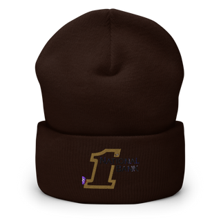 Tigers 92576308 Cuffed Beanie | Yupoong 1501KC