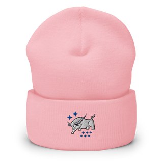 HSC-26 77266694 Cuffed Beanie | Yupoong 1501KC