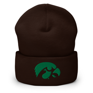 D-R Falcons 66653623 Cuffed Beanie | Yupoong 1501KC