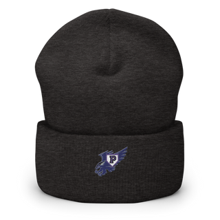 Plainview Little League 37284213 Cuffed Beanie | Yupoong 1501KC