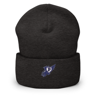 Plainview Hawks 3189173 Cuffed Beanie | Yupoong 1501KC