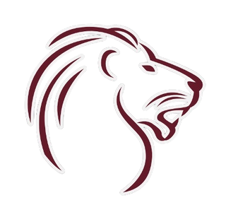 Biggersville High School 45490273 Stainless Steel Water Bottle with a Straw Lid