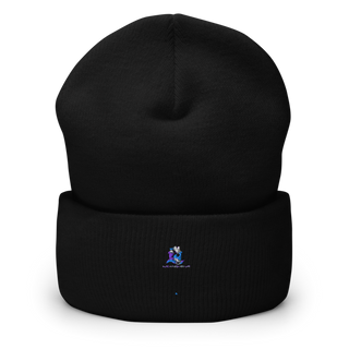 Blue Sky Remodeling Cuffed Beanie | Yupoong 1501KC