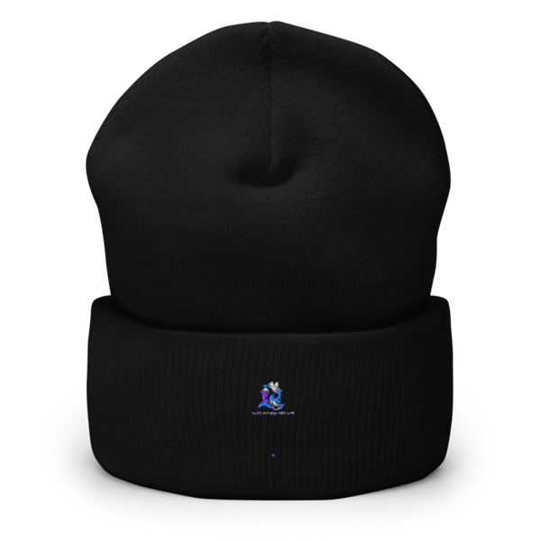 Blue Sky Remodeling Cuffed Beanie | Yupoong 1501KC