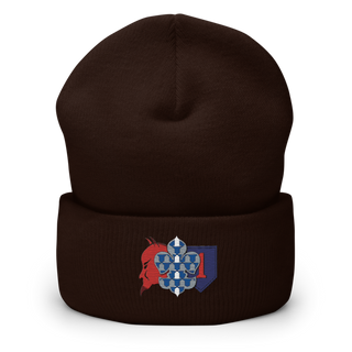 3-66 AR 33931527 Cuffed Beanie | Yupoong 1501KC