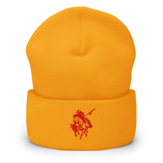 Pine Hill High School Volleyball 60405562 Cuffed Beanie | Yupoong 1501KC
