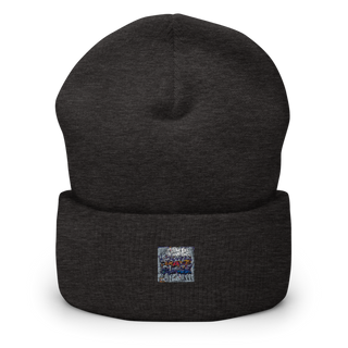 TRAYZ PLACE 92248171 Cuffed Beanie | Yupoong 1501KC