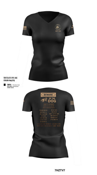 Womens Short Sleeve Vneck Shirt, det. 159, , Teamtime, Team time, sublimation, custom sports apparel, team uniforms, spirit wear, spiritwear, sports uniforms, custom shirts, team store, custom team store, fundraiser sports, apparel fundraiser