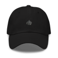 Firearms instructor Dad hat