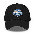 Express Dad hat