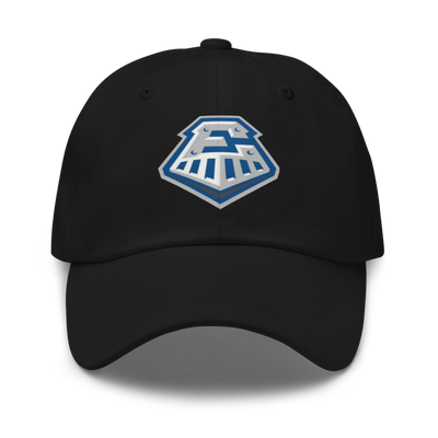 Express Dad hat