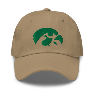 D-R Falcons 66653623 Classic Dad Hat | Yupoong 6245CM