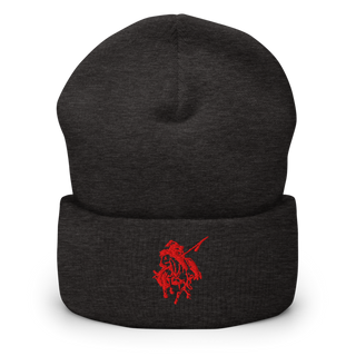 Pine Hill High School Volleyball 60405562 Cuffed Beanie | Yupoong 1501KC