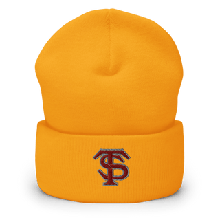 Seymour Tigers Baseball 13468002 Cuffed Beanie | Yupoong 1501KC