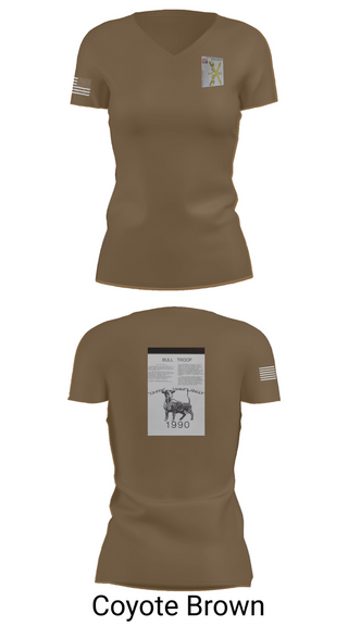 Womens Short Sleeve Vneck Shirt, 2nd Armored Cavalry Regiment, , Teamtime, Team time, sublimation, custom sports apparel, team uniforms, spirit wear, spiritwear, sports uniforms, custom shirts, team store, custom team store, fundraiser sports, apparel fundraiser