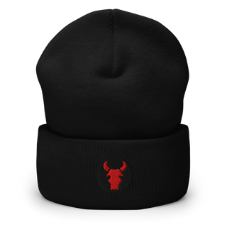 2nd Brigade Combat Team, 34th Infantry Division 70641214 Cuffed Beanie | Yupoong 1501KC