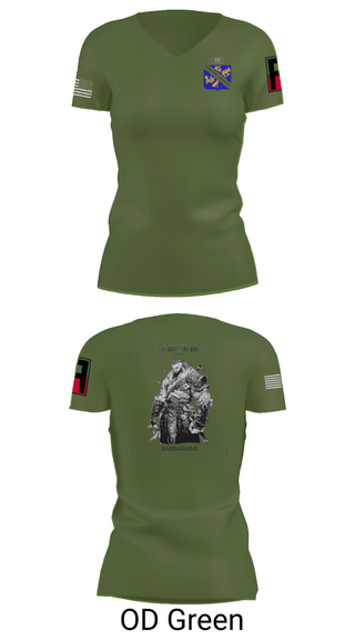Womens Short Sleeve Vneck Shirt, 1-306th IN BN, , Teamtime, Team time, sublimation, custom sports apparel, team uniforms, spirit wear, spiritwear, sports uniforms, custom shirts, team store, custom team store, fundraiser sports, apparel fundraiser