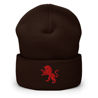 Dulaney Lions Baseball 10641314 Cuffed Beanie | Yupoong 1501KC