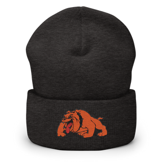 Davenport 34127187 Cuffed Beanie | Yupoong 1501KC