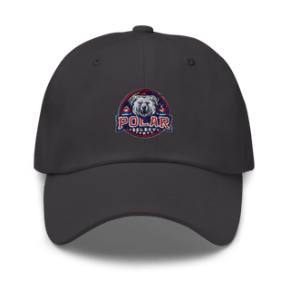 Polar Select Classic Dad Hat | Yupoong 6245CM