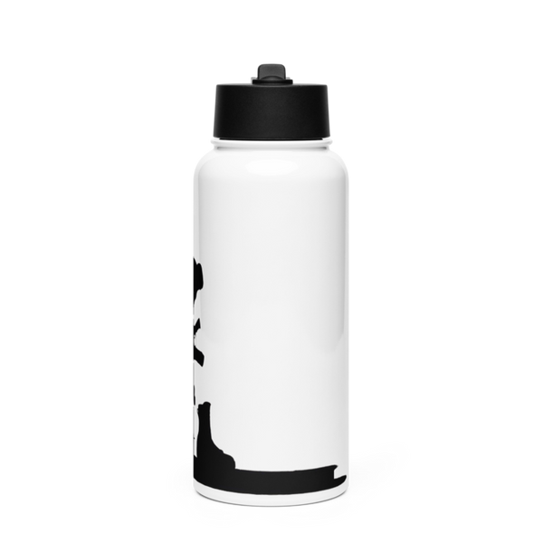 TF-444 14923426 Stainless Steel Water Bottle with a Straw Lid