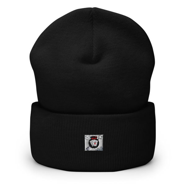 A Co 1347 DSSB 62460778 Cuffed Beanie | Yupoong 1501KC