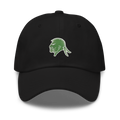 Watriors Dad hat