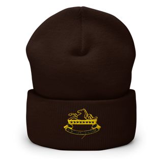 6-8 CAV 64955862 Cuffed Beanie | Yupoong 1501KC