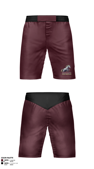 Fight Shorts, Phoenix, Men's Soccer, Teamtime, Team time, sublimation, custom sports apparel, team uniforms, spirit wear, spiritwear, sports uniforms, custom shirts, team store, custom team store, fundraiser sports, apparel fundraiser