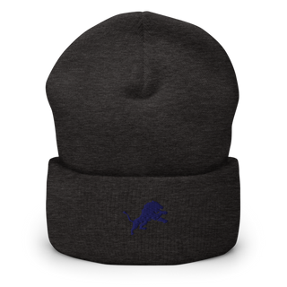 Pope John XXIII Regional High School Basketball 70006632 Cuffed Beanie | Yupoong 1501KC
