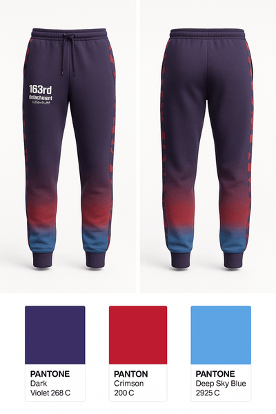 163rd detatchment 38371111 Sweatpants - 1