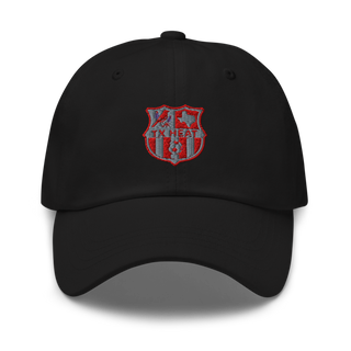 TX HEAT 2370396 Classic Dad Hat | Yupoong 6245CM