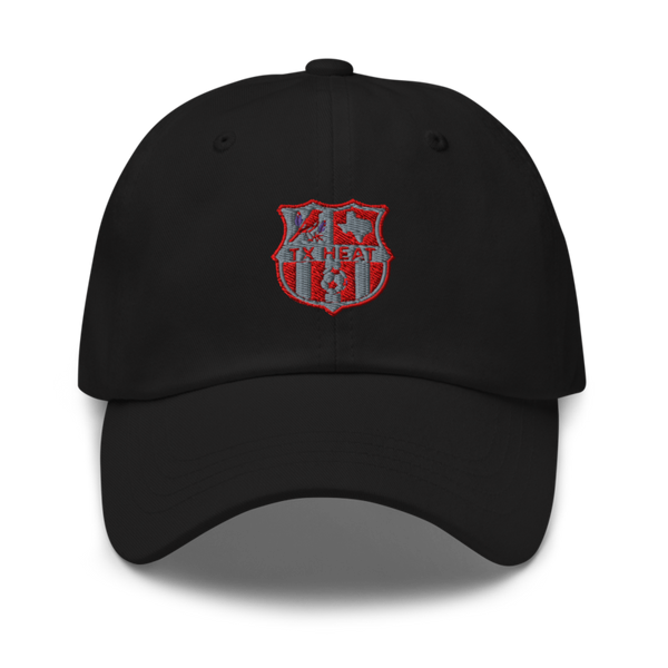 TX HEAT 2370396 Classic Dad Hat | Yupoong 6245CM