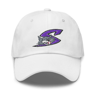 Falcon Middle School Basketball 65038956 Classic Dad Hat | Yupoong 6245CM