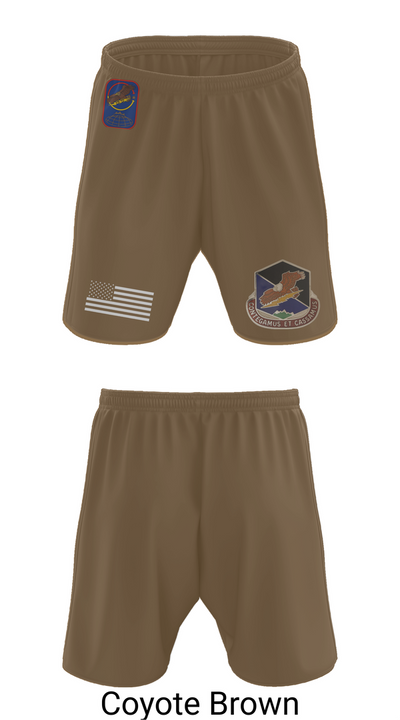 100th Missile Defense Brigade 43971287 Athletic Shorts With Pockets - 9