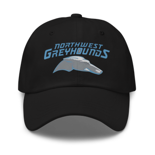 Dad hat - Black