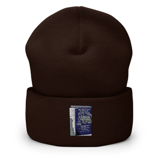 VP-45 Cuffed Beanie | Yupoong 1501KC