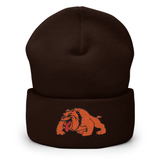 Davenport 34127187 Cuffed Beanie | Yupoong 1501KC